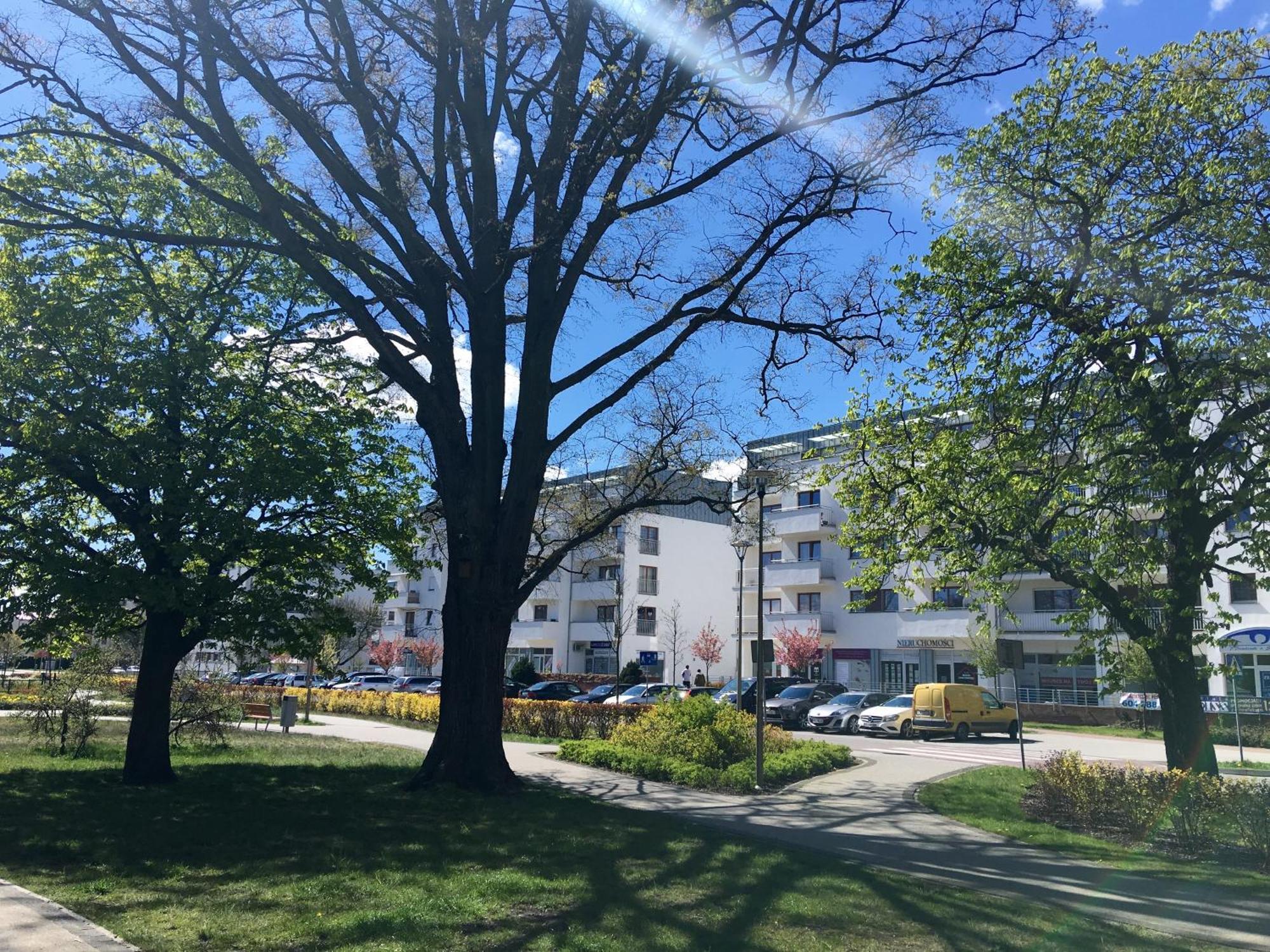 Apartamenty Platan - Visitopl Swinoujscie Exterior foto